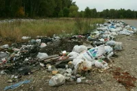 Ликвидацию свалок в лесах предложили урегулировать