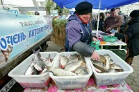 Белоруссия обновила порядок налогообложения для ИП и самозанятых