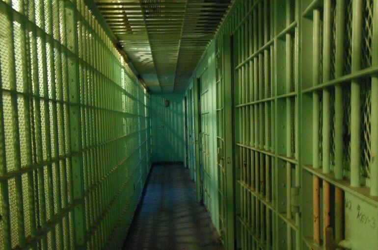 Комитет Совфеда поддержал закон о геномной регистрации осужденных