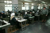 В Комитете Совфеда поддержали закон о пробации