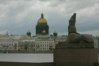 В Смольном увидели в идее ввести мораторий на закон о госзакупках «правильный посыл»