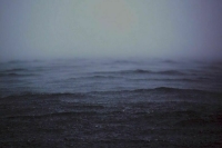 Сальдо сообщил о больших потерях ВСУ при форсировании Днепра