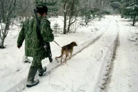Государственным охотничьим инспекторам разрешили использовать оружие