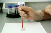 В России начнут собирать ДНК у всех подозреваемых и осужденных