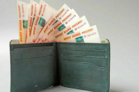 В Комитете Госдумы поддержали законопроекты о пенсиях и соцподдержке в новых регионах