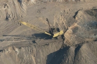 На добывающие компании предложили возложить заботу о животных