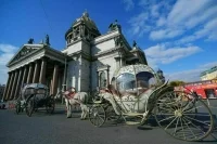 В Петербурге попробуют не гнать лошадей