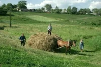 Земли сельхозназначения пересчитают и внесут в реестр