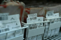 В России будут заготавливать больше плазмы крови