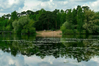 Право разработки правил пользования пляжами хотят передать муниципалитетам    