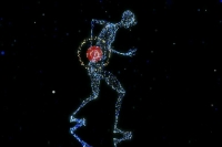 Врач рассказал, как боль в спине связана с зубами