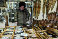 Минэкономразвития: Проверки малого бизнеса сократились почти в три раза