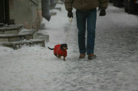 Синоптик рассказал о погоде в Москве в пятницу