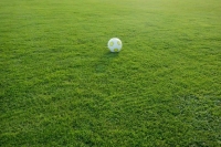 На сына пресс-атташе тульского «Арсенала» напали на матче в Швейцарии