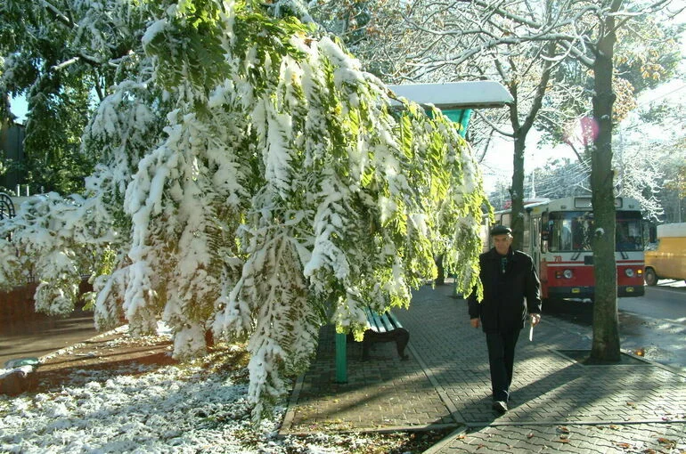 В Москве потеплеет ко Дню защитника Отечества