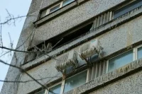 Задержан подозреваемый в поджоге общежития в Москве 
