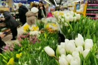 В Роструде рассказали о графике работы в связи с празднованием 8 Марта