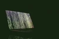 В ФТС сообщили о DDoS-атаках на информационные сервисы ведомства