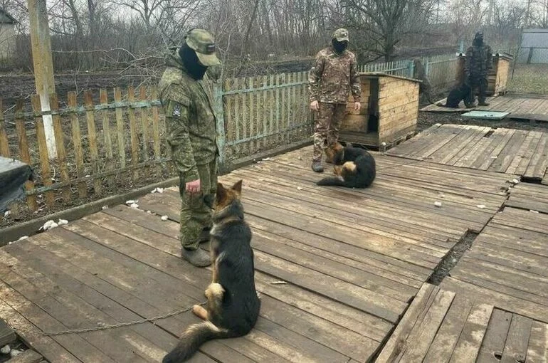 Ямальские депутаты передали бытовую технику бойцам в зону СВО