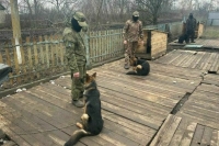 Ямальские депутаты передали бытовую технику бойцам в зону СВО