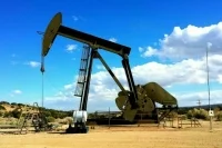 Посол РФ назвал вбросом сообщения о лимите цен на российскую нефть в Индии