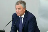 Володин: Молодежный парламент станет обновляемым