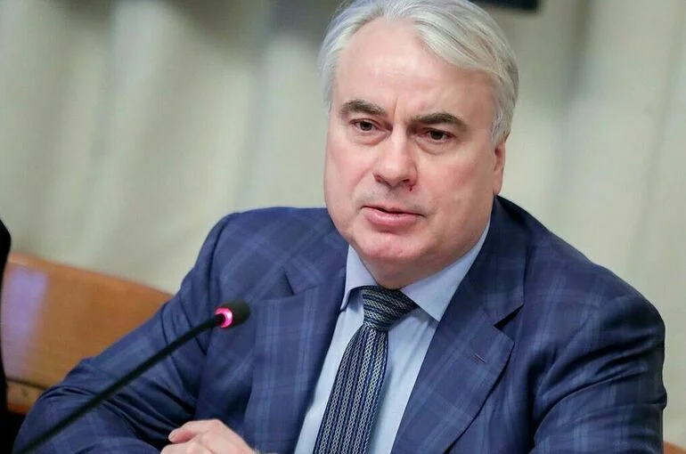 Парламентарии РФ и Африки обеспечат партнерство в энергетике на уровне законов
