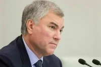 Володин заявил, что РФ хочет убедить другие страны в возможности многополярного мира
