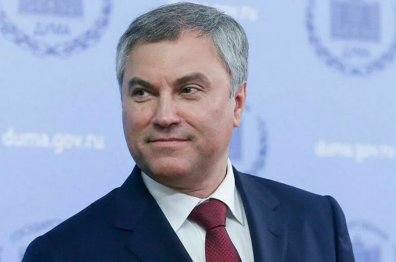 Володин предложил ежегодно проводить конференцию «Россия — Африка»