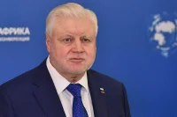 Миронов предложил оценить роль Африки в современном мире