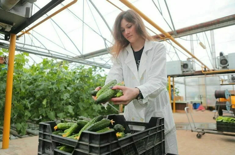 В Госдуме предложили принимать сельскую молодежь в колледжи вне конкурса