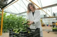 В Госдуме предложили принимать сельскую молодежь в колледжи вне конкурса