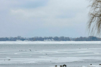 Бабушка друга музыканта Cream Soda, утонувшего в Волге, раскрыла подробности ЧП