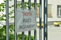 В МЧС разрешили школам оставить решетки на окнах