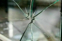 Под обстрел ВСУ попало фермерское хозяйство в Брянской области