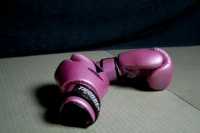 Путин отметил яркие лидерские качества чемпионки мира по боксу Демурчян