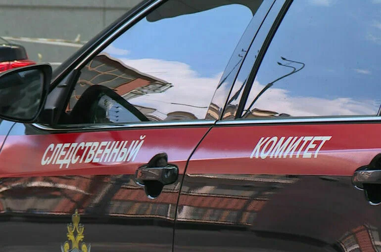 СК даст оценку призывам украинских националистов сжигать православные храмы