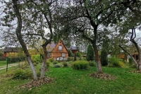 Дачникам рассказали, как избавиться от вредителей в почве