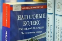 Перминова раскрыла недочеты в новом налоговом законодательстве