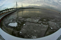 Двое детей утонули в Финском заливе в Петербурге