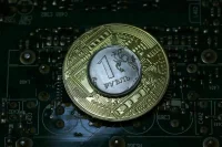 Что такое цифровой рубль и как им пользоваться 