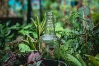 Пьяных туристов не пустят в заповедники