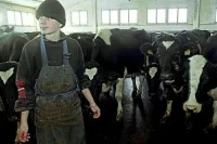 Куда нельзя пойти на альтернативную службу