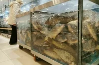 В Госдуму повторно внесли законопроект о защите производителей рыбопромышленных судов