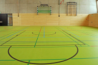 В Госдуму внесен законопроект о включении новых регионов в систему спорта