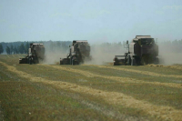 Двойных назвал цель законопроекта о фермерской продукции