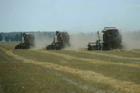 Двойных назвал цель законопроекта о фермерской продукции