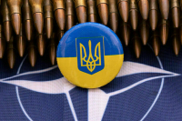 Вышинский рассказал о быстром способе Украины попасть в НАТО