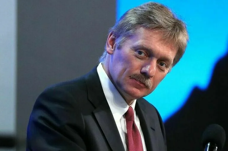 Песков: Попытки легитимизировать заморозку активов РФ обречены на провал