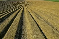 Минпромторг предложил продлить квоту на экспорт удобрений еще на полгода